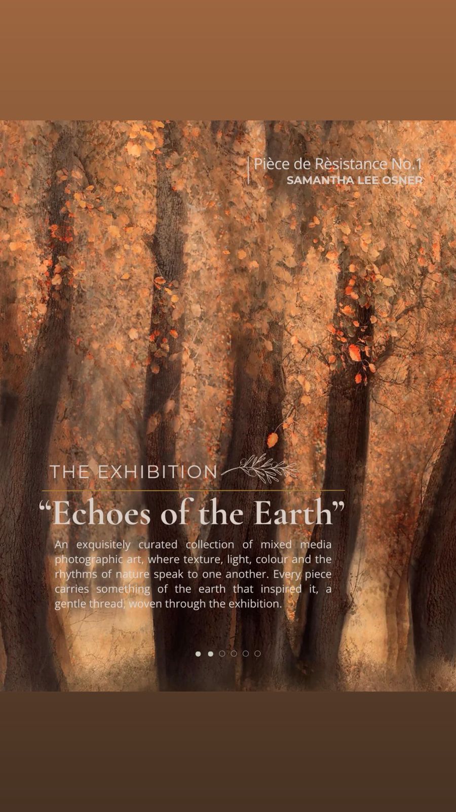 Echoes of the Earth exhibition artwork by Samantha Lee Osner